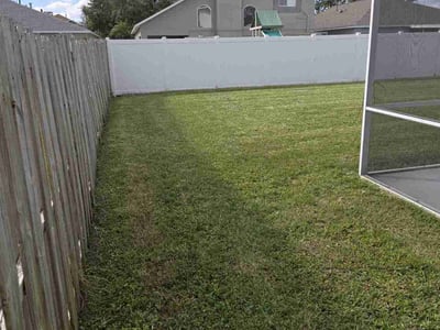 Lawn Care service in Flushing, 11354