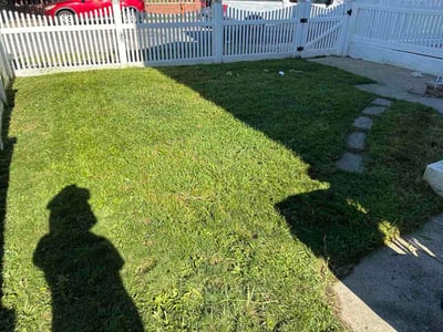 Lawn Care service in Howard Beach, 11414