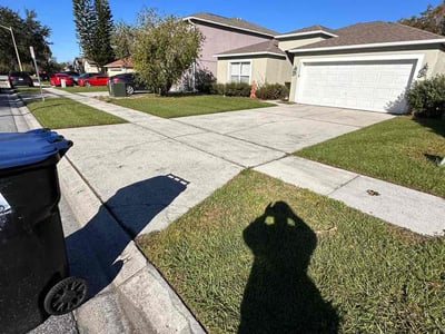 Lawn Care service in Hollis, 11423