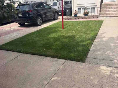 Lawn Care service in Corona, 11368
