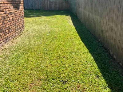 Lawn Care service in Moss Point, 39563