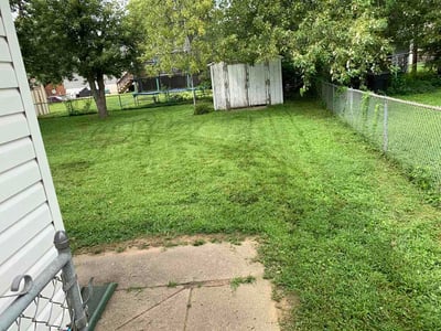 Lawn Care service in Port Washington, 11050
