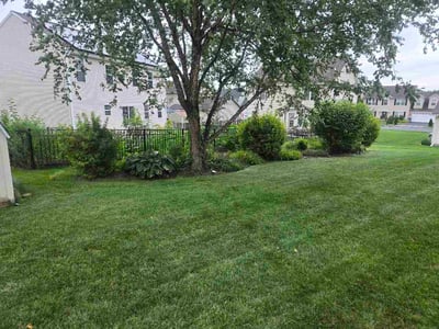 Lawn Care service in Middletown, 17057