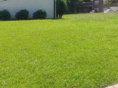 Lawn Care service in Athens, 30601