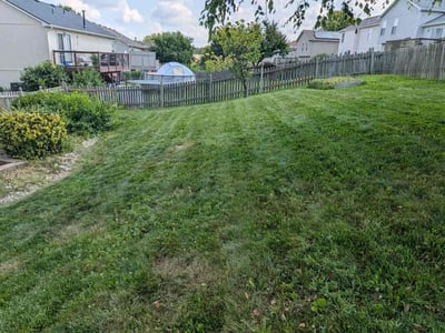 Lawn Care service in Rockville Centre, 11570