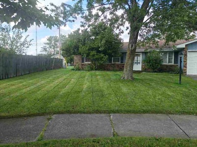 Lawn Care service in Hobart, 46342