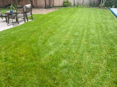 Lawn Care service in Wilmette, 60091