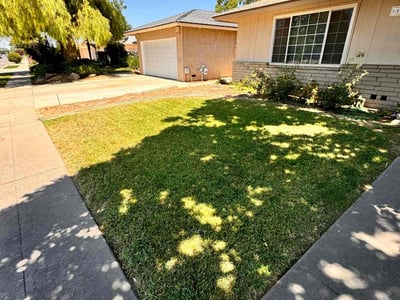Lawn Care service in Selma, 93662