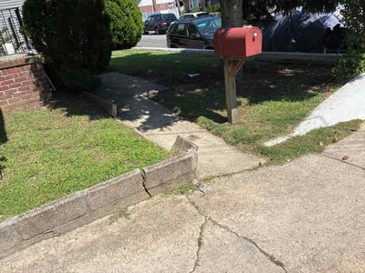 Lawn Care service in Elmont, 11003