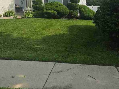Lawn Care service in Wilmette, 60091