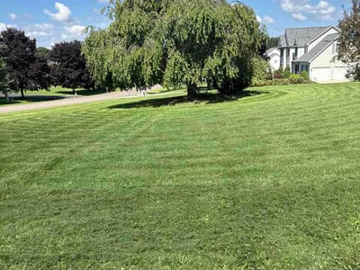 Lawn Care service in Elmont, 11003