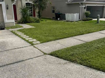 Lawn Care service in Elmont, 11003