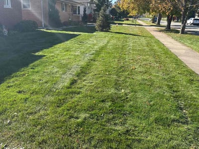Lawn Care service in Highland, 46322
