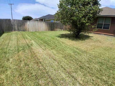 Lawn Care service in College Station, 77840