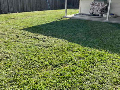 Lawn Care service in Killeen, 76541