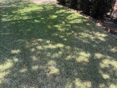 Lawn Care service in Alvarado, 76009