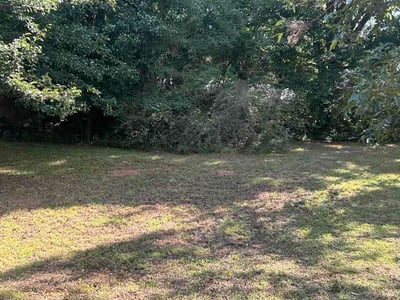 Leaf Removal service in Broken Arrow, 74012