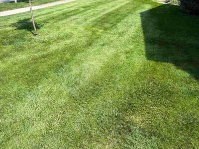 Lawn Care service in Geneva, 60134