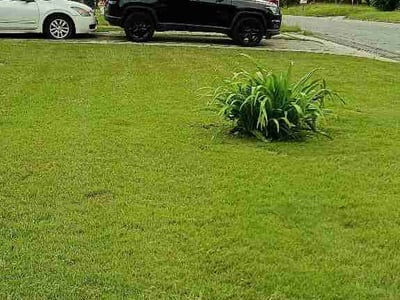 Lawn Care service in Macon, 31201