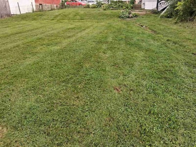 Lawn Care service in Hagerstown, 21740