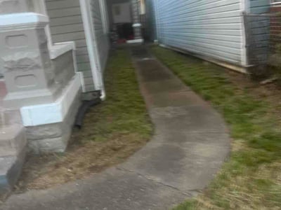 Leaf Removal service in Carmel, 46032