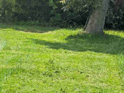 Lawn Care service in Sulphur, 70663