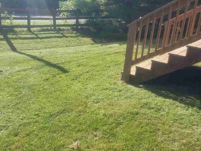 Lawn Care service in Lebanon, 45036