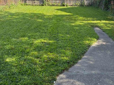 Lawn Care service in North Royalton, 44133