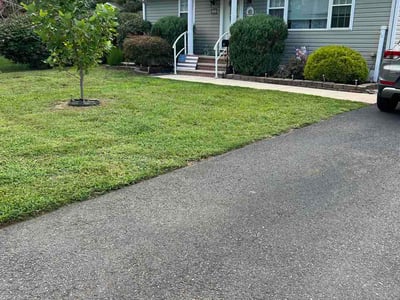 Lawn Care service in Paterson, 07505