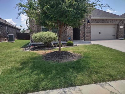 Lawn Care service in Aubrey, 76227