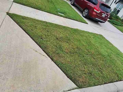 Lawn Care service in Sanger, 76266