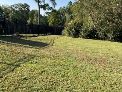 Lawn Care service in Biloxi, 39530