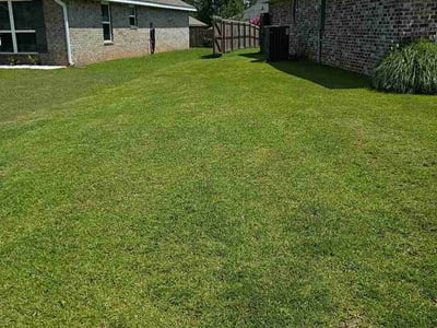 Lawn Care service in Biloxi, 39530