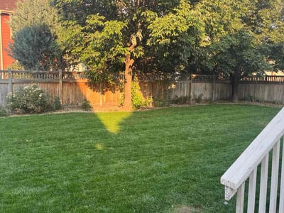 Lawn Care service in Pasco, 99301