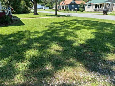 Lawn Care service in Burlington, 27215