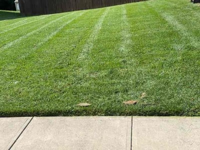 Lawn Care service in Xenia, 45385