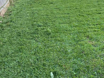 Lawn Care service in Xenia, 45385