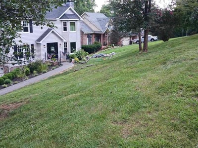Lawn Care service in Rogersville, 37857
