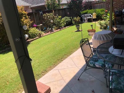 Lawn Care service in Brooklyn, 11216
