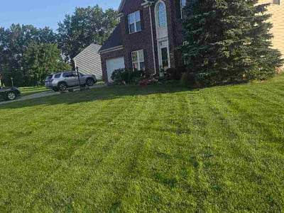 Lawn Care service in Avon Lake, 44012