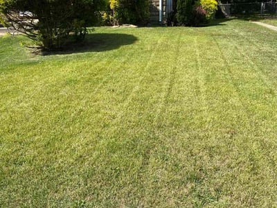 Lawn Care service in Bay Shore, 11706