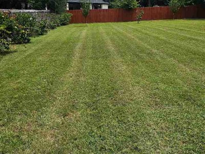 Lawn Care service in Belton, 76513