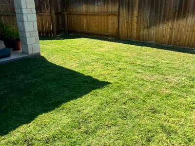 Lawn Care service in Belton, 76513