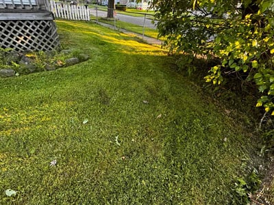 Lawn Care service in Central Point, 97502