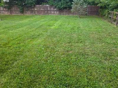 Lawn Care service in Independence, 41051
