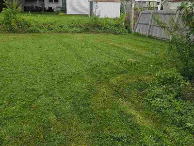 Lawn Care service in Hartland, 53029