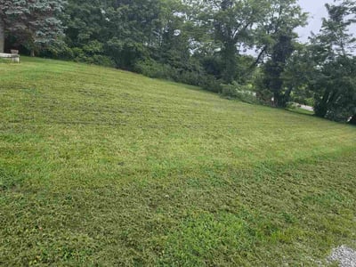 Lawn Care service in Independence, 41051
