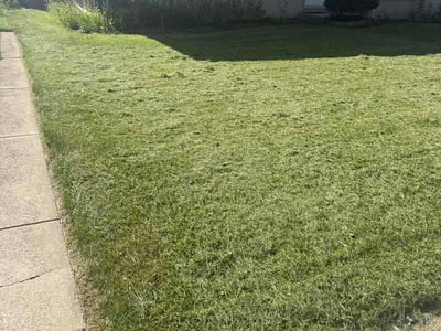 Lawn Care service in Westchester, 60154