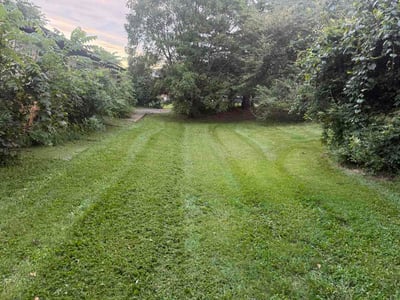 Lawn Care service in Independence, 41051