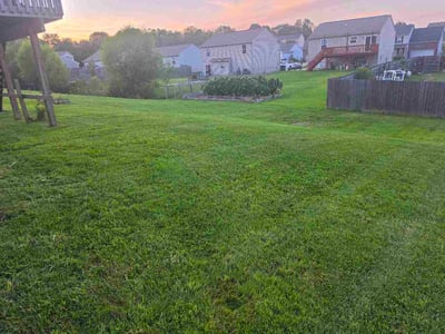 Lawn Care service in Independence, 41051